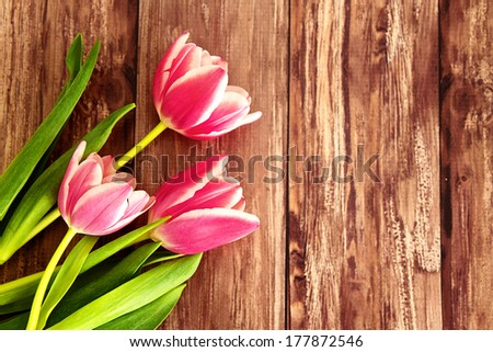 Pink tulips on a wooden background with space for text