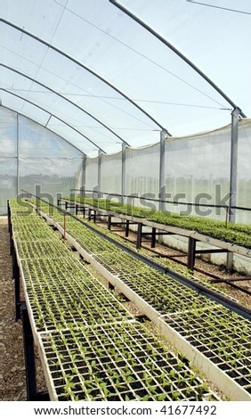protected cultivation