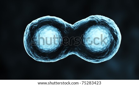 3d render of dividing cells or mitosis xray