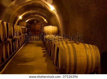 Wine Cellar Cave