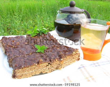 herbal tea and chocolate cake tea-drinking outdoors