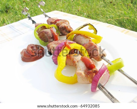 grilled cooked meat with pepper onion roasting