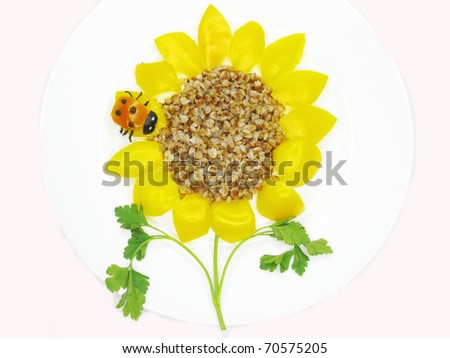 sunflower thai porriga kvinnor sunflower thai porriga kvinnor