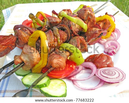 cooked grilled meat with pepper onion roasting