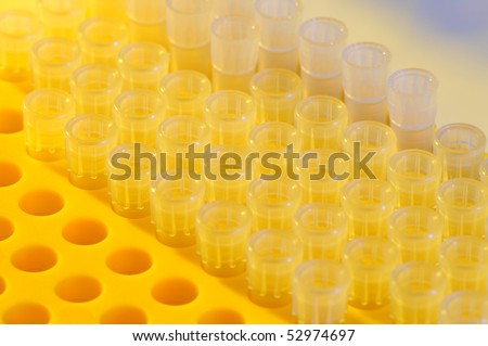 Test tubes background at a biology lab - a series of LABORATORY images.