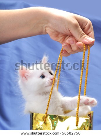 White cute kitten in a yellow shopping bag.