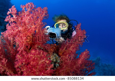 Female diver taking underwater photo.