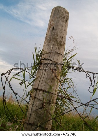 Corner Fence Post entangled with barbed wire