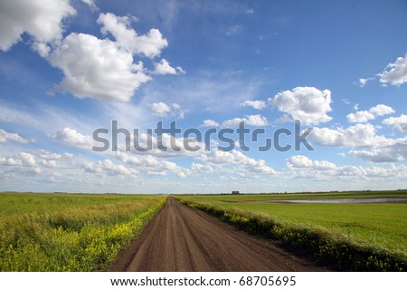 A dirt road cuts through green crop land under a dramatic prairie sky in Saskatchewan Canada