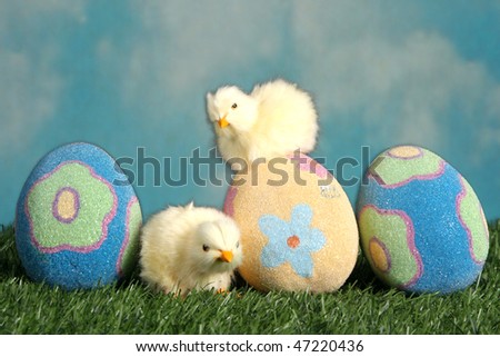 baby chicks easter. Easter Eggs And Baby Chicks On
