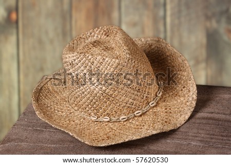 Cowboy or cowgirl hat