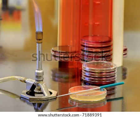 Equipment In A Microbiology Lab. Stock Photo 71889391 : Shutterstock