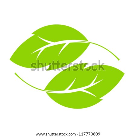 Two Green Leaves. Vector Illustration