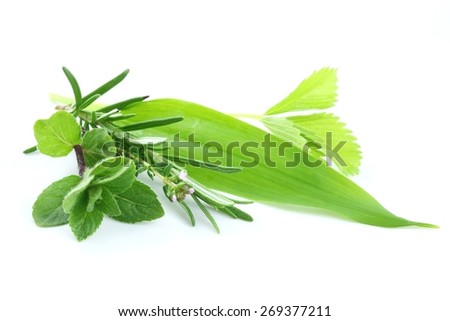 Fresh green herbs on white background