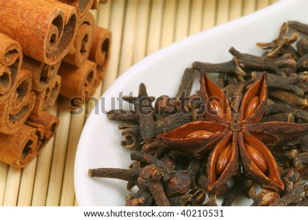Single anise star, cinnamon bark sticks and cloves. Aromatic Christmas spices