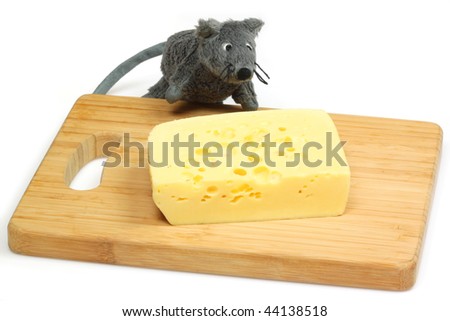 Cheese and grey plush mouse over white