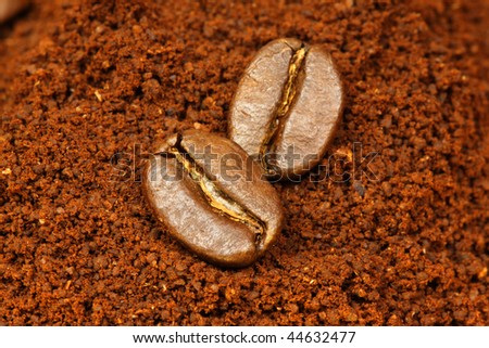 two arabic coffee beans on ground coffee background