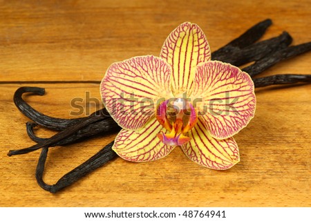 Vanilla beans and orchid flower on old wooden board
