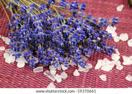 Dried lavender flowers and sea salt. aromatherapy and relax in spa