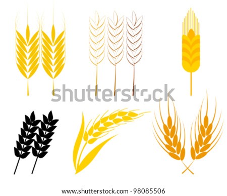 Wheat Symbol