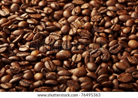 Back lighted fresh roasted coffee beans close up