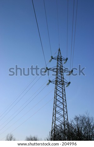 A electricity grid tower against deep blue evening sky and some bushes