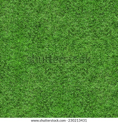 Green grass texture seamless background, perfect for nature, environment, sport and more...