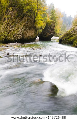 fresh. clean, clear, forest stream splash down over moss covered stones in autumn woods