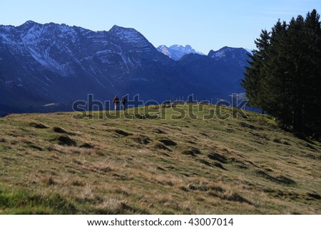 two hikers in the distance on afternonn sun lit meadow with high snow crusted mountains the back