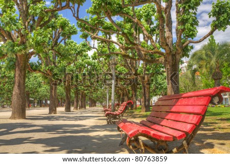 row of red wooden benches in a nice park under shading trees in summer invite to sit down and relax
