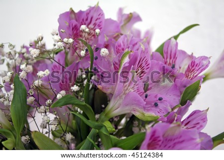 purple flowers. violet flowers. iris flower.\
\
violet flowers bouquet.