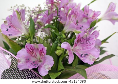 purple flowers. violet flowers. iris flower.\
\
violet flowers bouquet.