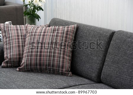 Pillows on the furniture. Cushions on the living room furniture.