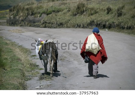 Quechua man walking home with donkey