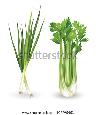 Celery Vector