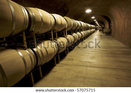 Unusual perspective in a wine cellar facing the ceiling