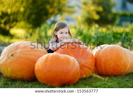 Adorable little girl embracing big pumpkin on a pumpkin patch