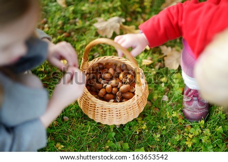 Little girls gathering acorns for crafting and playing