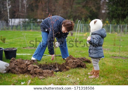 Adorable little girl and her grandmother planting a tree