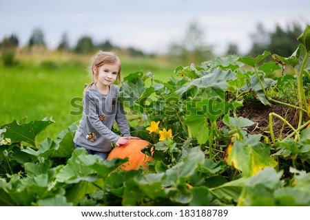 Cute little girl sitting on a pumpkin in a pumpkin patch