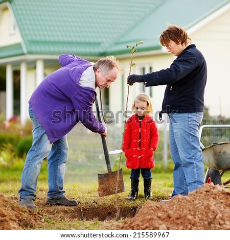 Adorable little girl and her grandparents planting a tree