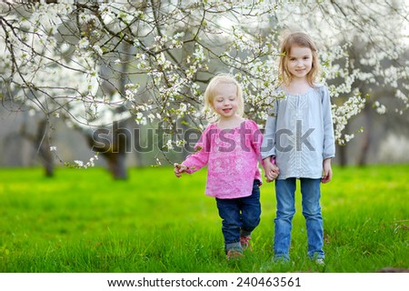 Two cute little sisters in blooming cherry garden on beautiful spring day