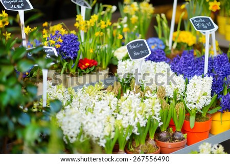 Beautiful colorful flowers sold on outdoor flower shop in Paris, France