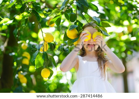 Adorable little girl picking fresh ripe lemons in sunny lemon tree garden in Italy