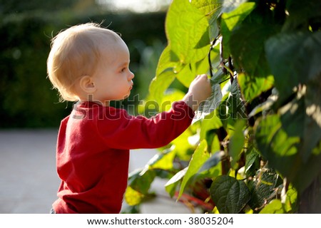 Young baby touching leaves in a park