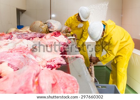 SLAUGHTERHOUSE WORKERS IN ORGANS WASHING ROOM CLEANING ANIMALS INTESTINES