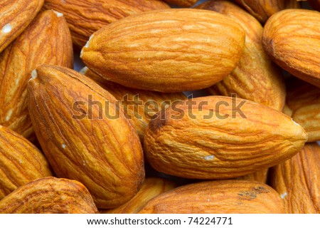 The Almond ,Prunus dulcis. Amygdalus  is a species of tree native to the Middle East and South Asia. Almond is also the name of the edible and widely cultivated seed of this tree.