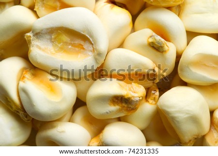 COOKED CORN, ALSO CALLED MOTE IN SOUTH AMERICA FAIRLY POPULAR FOOD IN INDIGENE COMMUNITIES