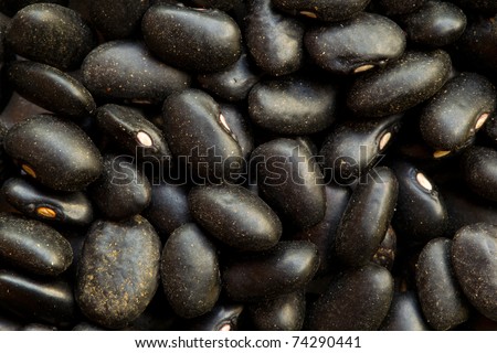 The small, shiny black turtle bean is especially popular in Latin American cuisine, though it can also be found in Cajun and Creole cuisines of South Louisiana.