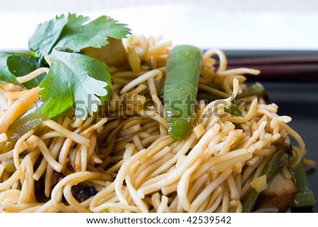 Closeup of fried noodles with tofu, coriander and green pepper.